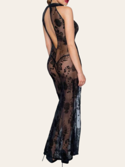 Robe Louison – Longue robe transparente à broderies florales
