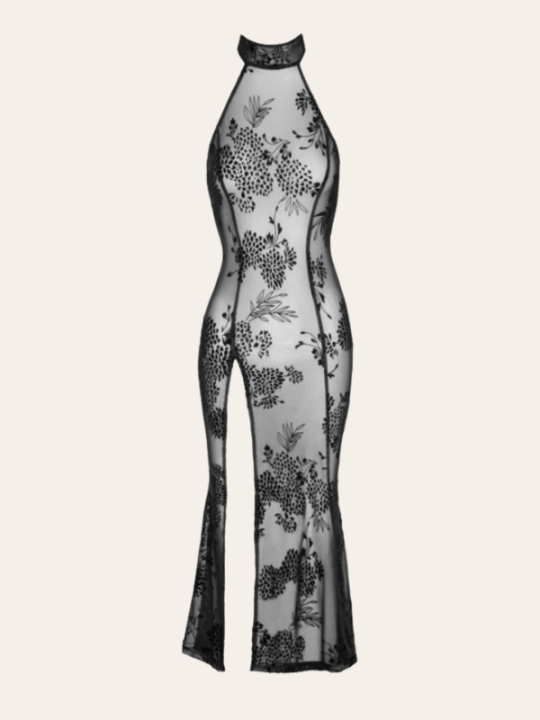 Robe Louison – Longue robe transparente à broderies florales